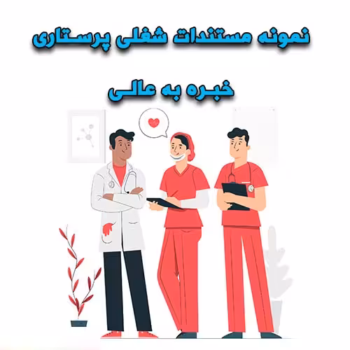 خرید و دانلود نمونه مستندات شغلی پرستاری خبره به عالی