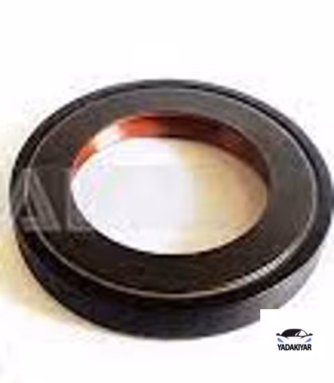 کاسه نمد پلوس 405 – چپ بزرگ – ویژن