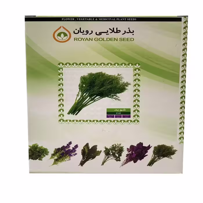 بذر شوید 1 کیلویی - بذر طلایی رویان