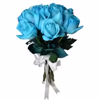 گل رز هلندی آبی