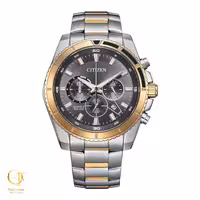 ساعت مچی سیتیزن مدل Citizen AN8204-59H