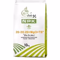 کود 202020پومد 