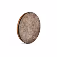 دف ترکه ای پادوک نوجوان