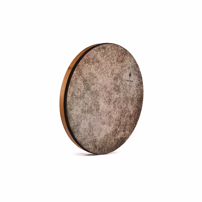 دف ترکه ای پادوک نوجوان