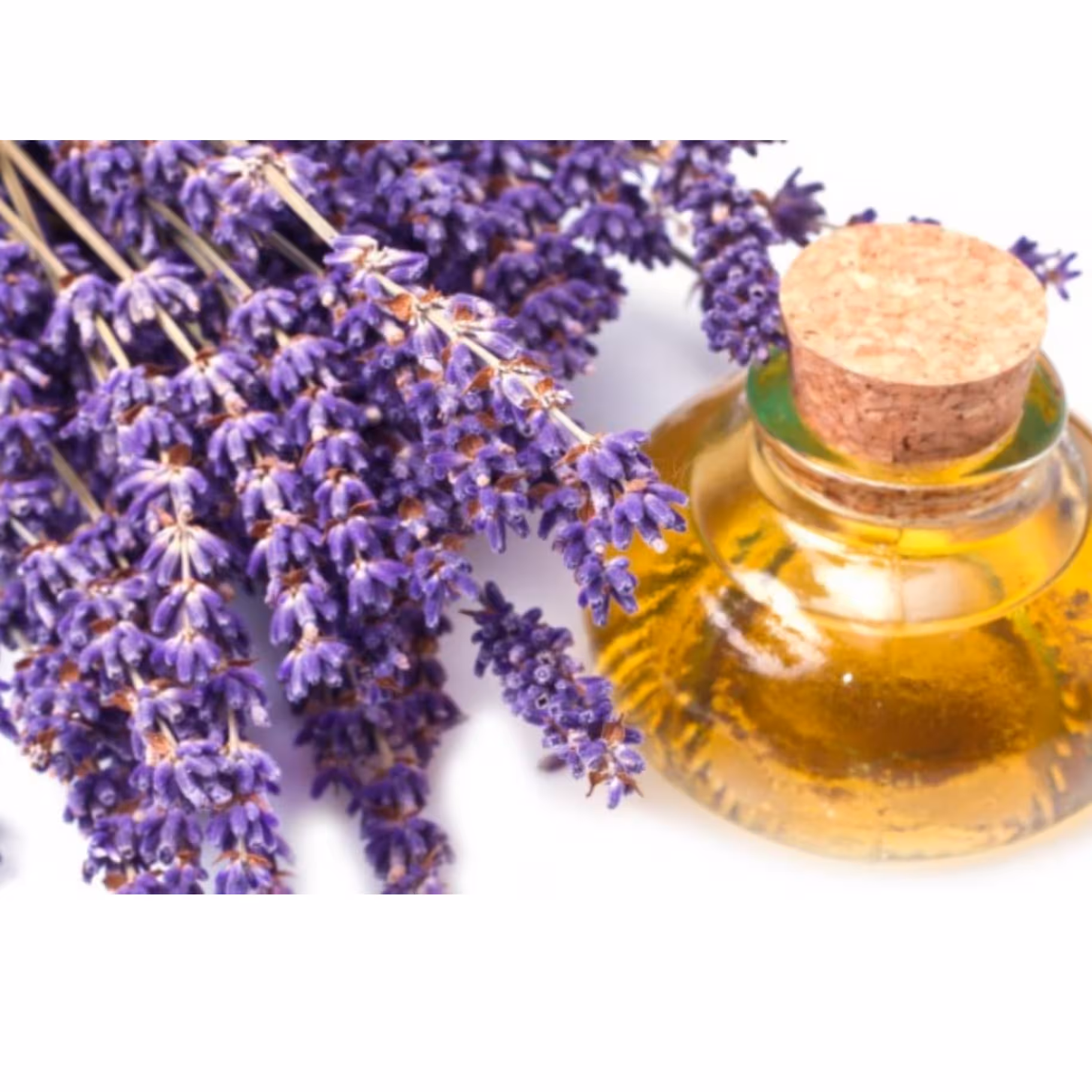 روغن اسطوخودوس 30سی سی مناسب پوست و مو و سردرد