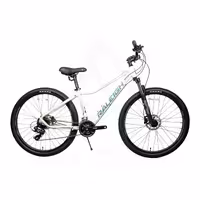 دوچرخه رالی مدل آلپاین ALPINE 15 2025