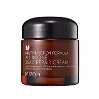 کرم ترمیم کننده همه کاره حلزون میزون ( MIZON – All In One Snail Cream )