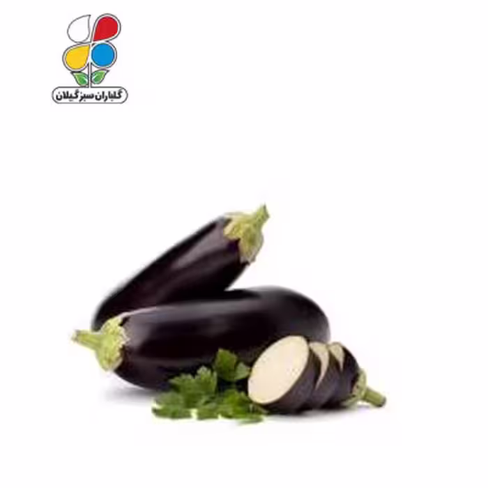 بذر بادمجان قلمی بسته بندی کوچک