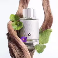 ادکلن مونت بلانک اکسپلورر پلاتینیوم (نقره ایی) اصل | Montblanc Explorer Platinum 100ml