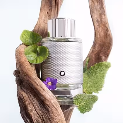 ادکلن مونت بلانک اکسپلورر پلاتینیوم (نقره ایی) اصل | Montblanc Explorer Platinum 100ml