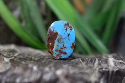 فیروزه نیشابور