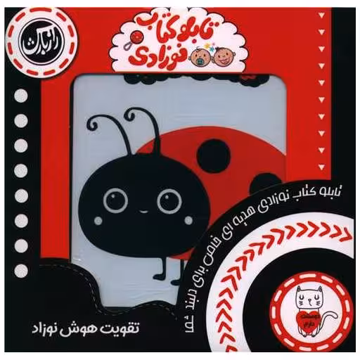 تابلو کتاب نوزادی (خشتی) اثر محسن فولادشکن