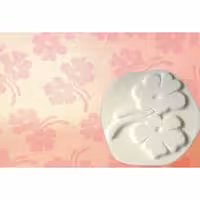 مهر بزرگ GSB کد CT-01