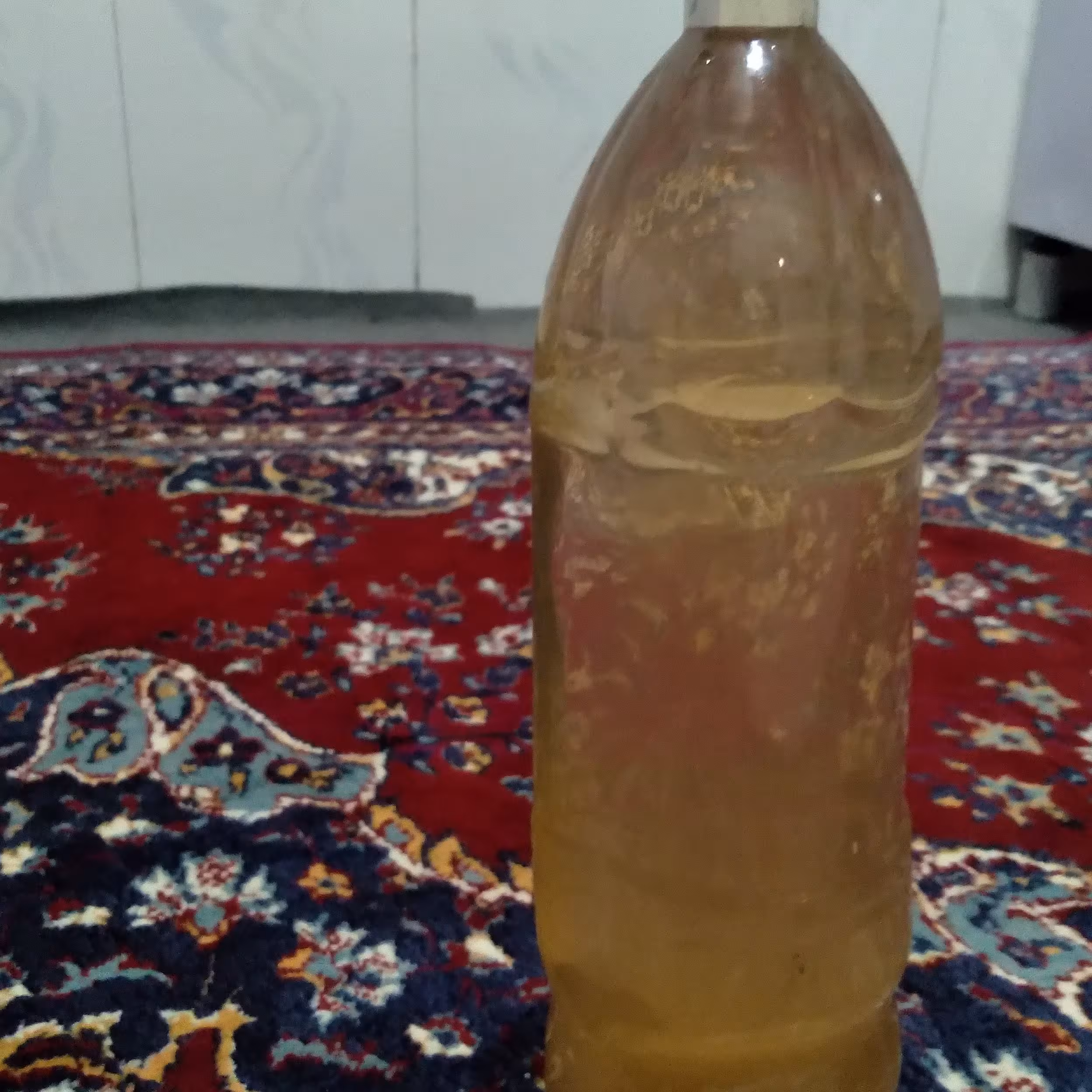 آبغوره خانگی کاملا بهداشتی 