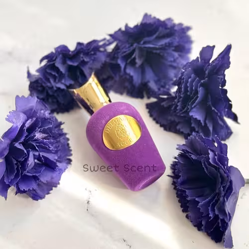 عطر ادکلن مینی سوسپیرو اکسنتو (اکچنتو) – سوسپیرو بنفش دلگادو| Sospiro Accento Delgadoحجم 25 میل