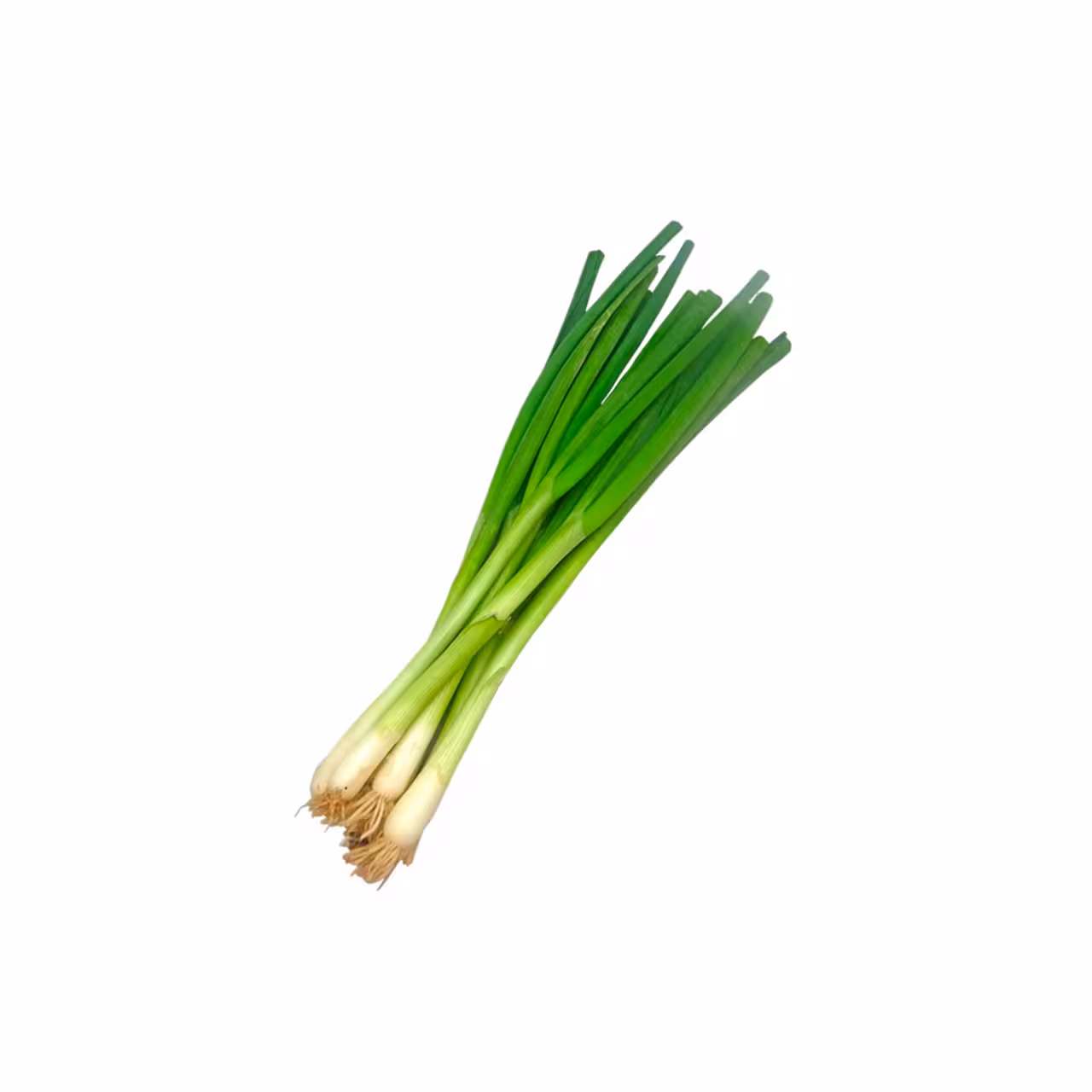 سبزی پیازچه تازه دسته ای - درجه یک