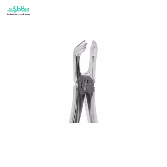 فورسپس عقل پایین 1111 کوشا