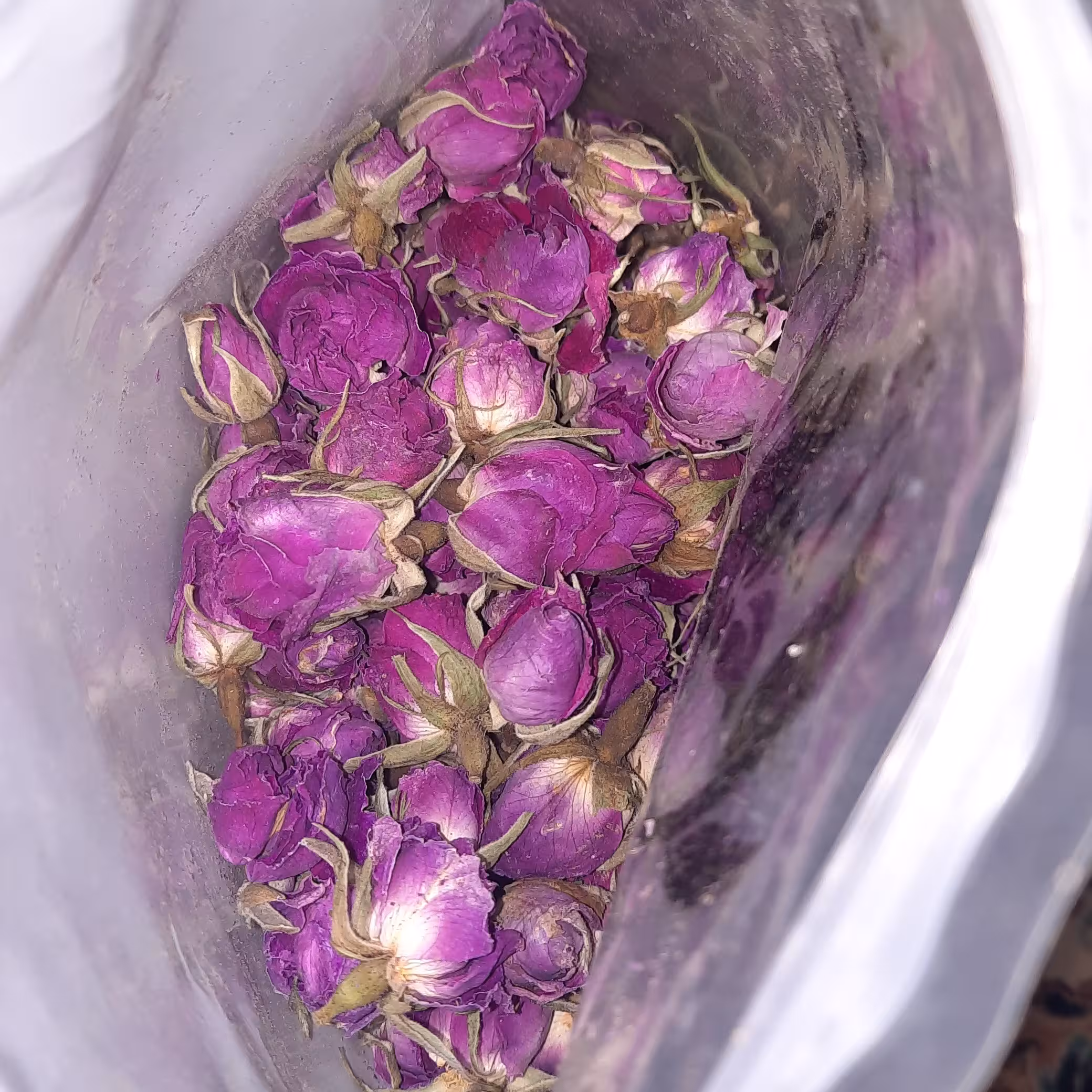 غنچه گل محمدی صادراتی درجه یک