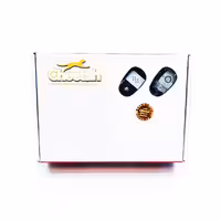 دزدگیر خودرو چیتا ساده