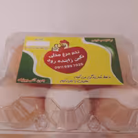 تخمرغ  محلی نگین زایندرود