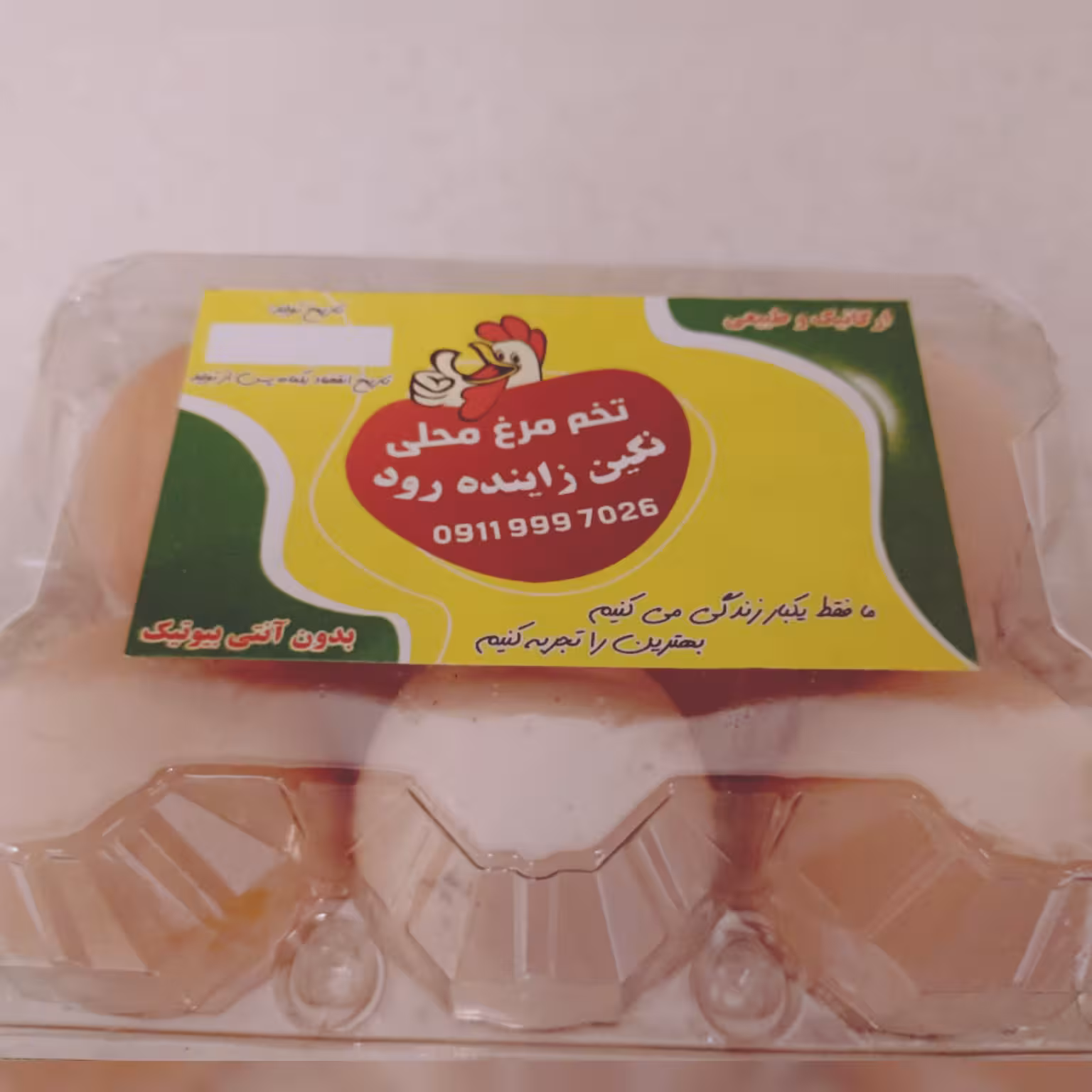 تخمرغ  محلی نگین زایندرود