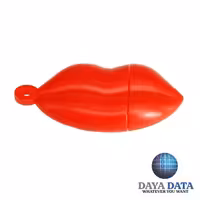 فلش مموری فانتزی دایا دیتا  لب مدل PF1005-9 ظرفیت32GB-USB3