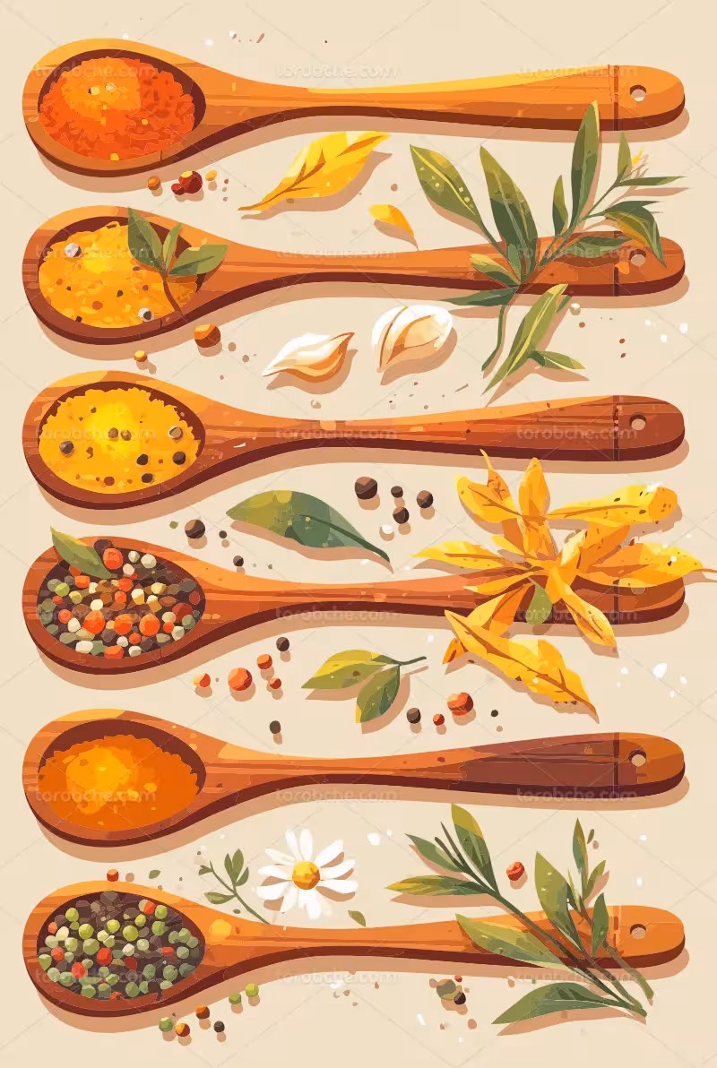 وکتور ادویه جات در قاشق چوبی | گرافیک با طعم تربچه
