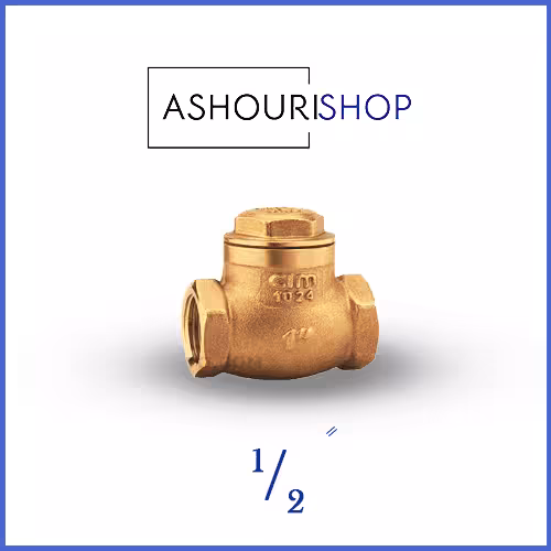 شیر یکطرفه دریچه ای سیم ایتالیا PN16-80 سایز 1/2 اینچ
