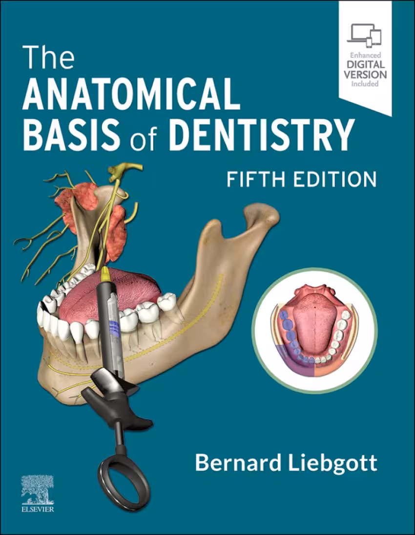 کتاب The Anatomical Basis of Dentistry 2023 زبان اصلی