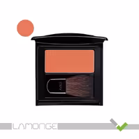 رژ گونه این لی مدل Coral شماره 04