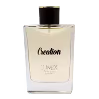 ادوپرفیوم مردانه بست گیت مدل کریشن Creation حجم 100 میل