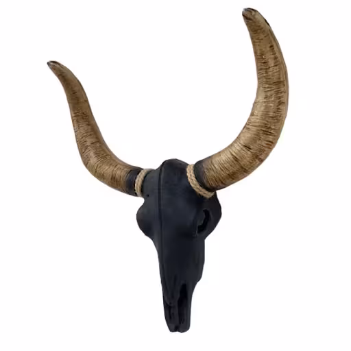 مجسمه طرح جمجمه گاومیش کد G20