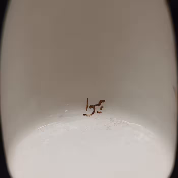 گلدان سرامیکی هیوا طرح پیچک ایستاده کد 11047651