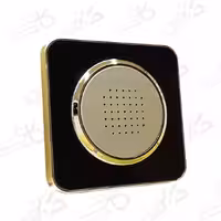 زنگ بیزر اسپیناس طلایی زه مشکی با میانی بژ