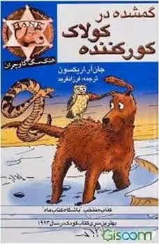گمشده در کولاک کورکننده | مرکز فرهنگی آبی