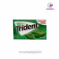 ادامس تریدنت نعناعی