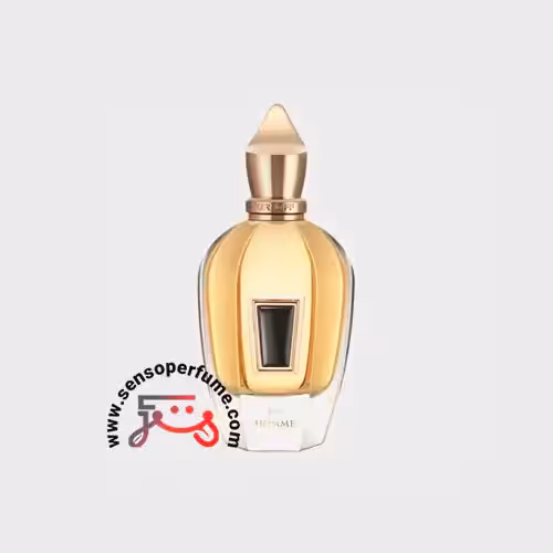 عطر ادکلن زرجوف هوم | xerjoff homme