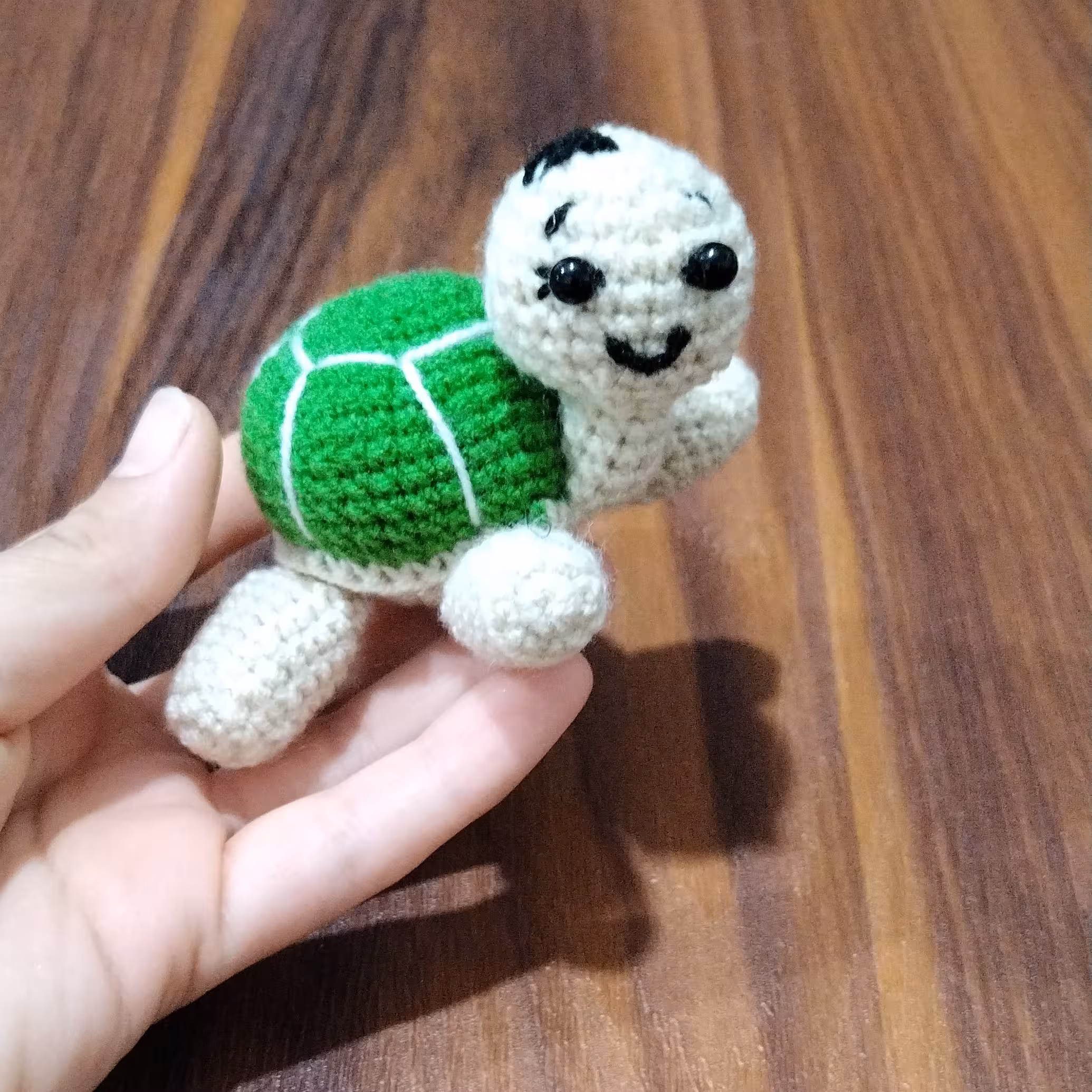 لاک پشت کوچولو برای جاسوئیچی دررنگ های مختلف بستگی به سلیقه شماست