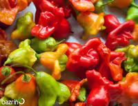 بذر فلفل ستاره ای میکس