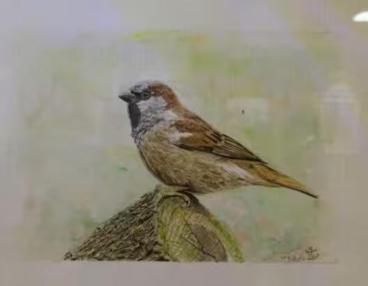 تابلو نقاشی گنجشک کد 101043