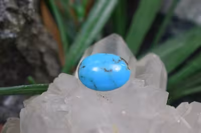 فیروزه امریکایی