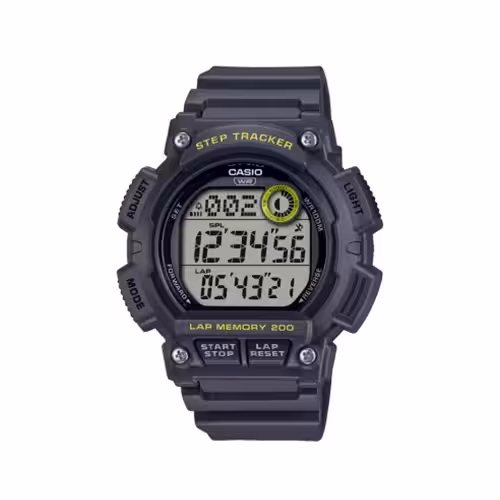 ساعت مچی مردانه کاسیو CASIO WS-2100H-8AV
