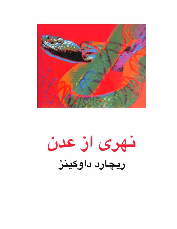 نهری از عدن