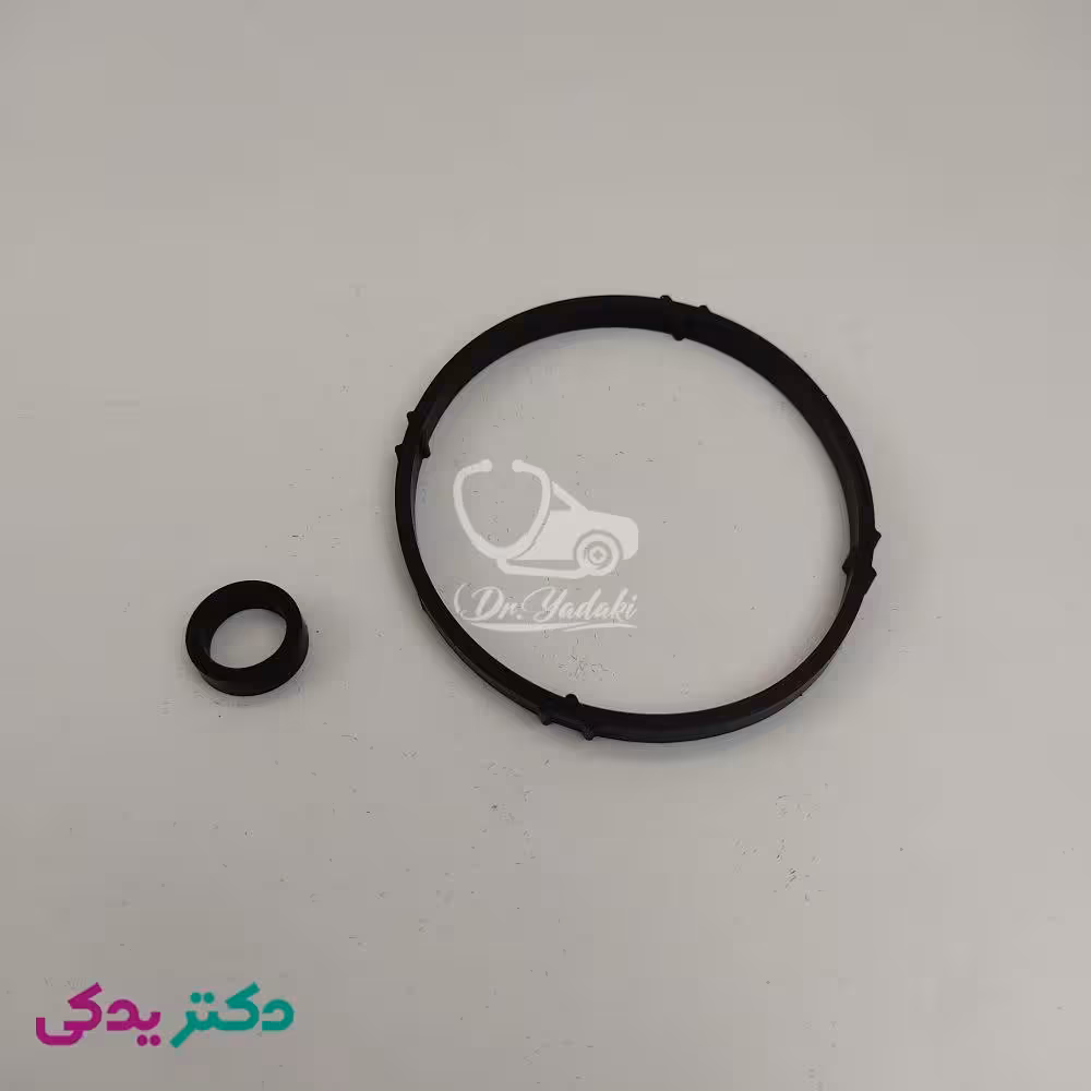 کاسه نمد پایه فیلتر پژو 206 شرکتی ایساکو اصل 0173000110
