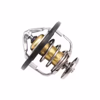 ترموستات سانگ یانگ تیوولی