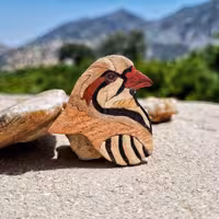 بج سینه کبک
