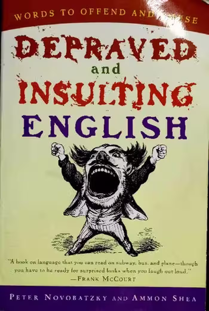 خرید و دانلود نسخه کامل کتاب Depraved and Insulting English