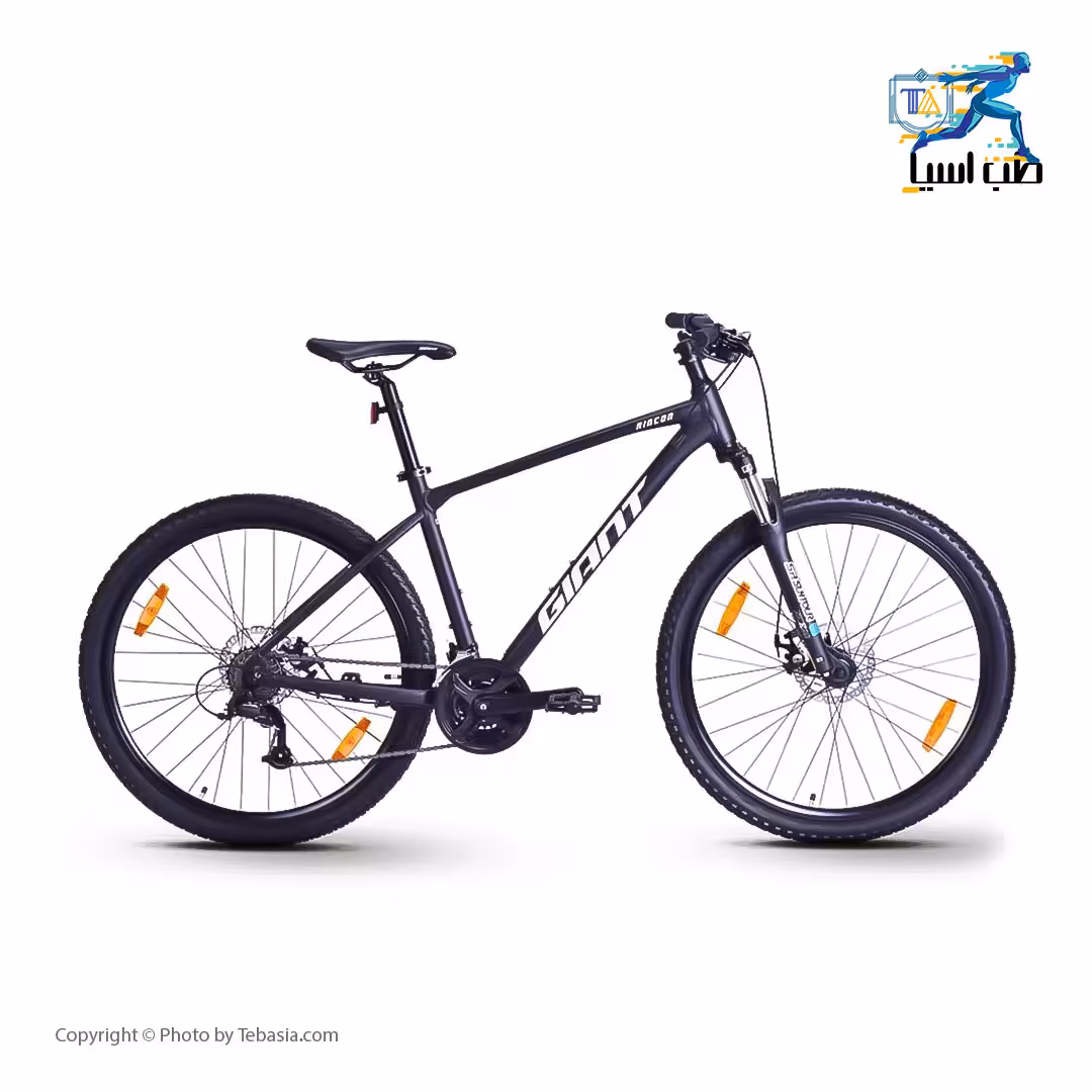 دوچرخه کوهستان جاینت رینکون 2 2022 سایز 29