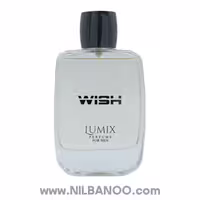 ادکلن مردانه بست گیت مدل Wish حجم 110 میل
