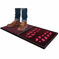 پنل ضدعفونی کننده کفش